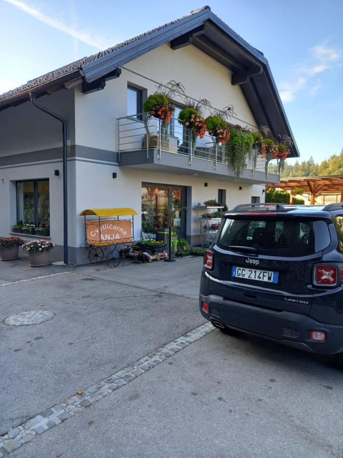 Apartmaji Tisa In Zana Rovte Exterior photo