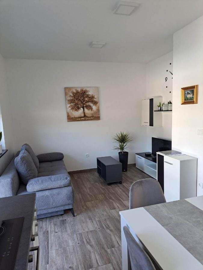 Apartmaji Tisa In Zana Rovte Exterior photo