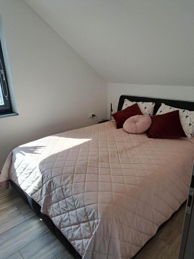 Apartmaji Tisa In Zana Rovte Exterior photo